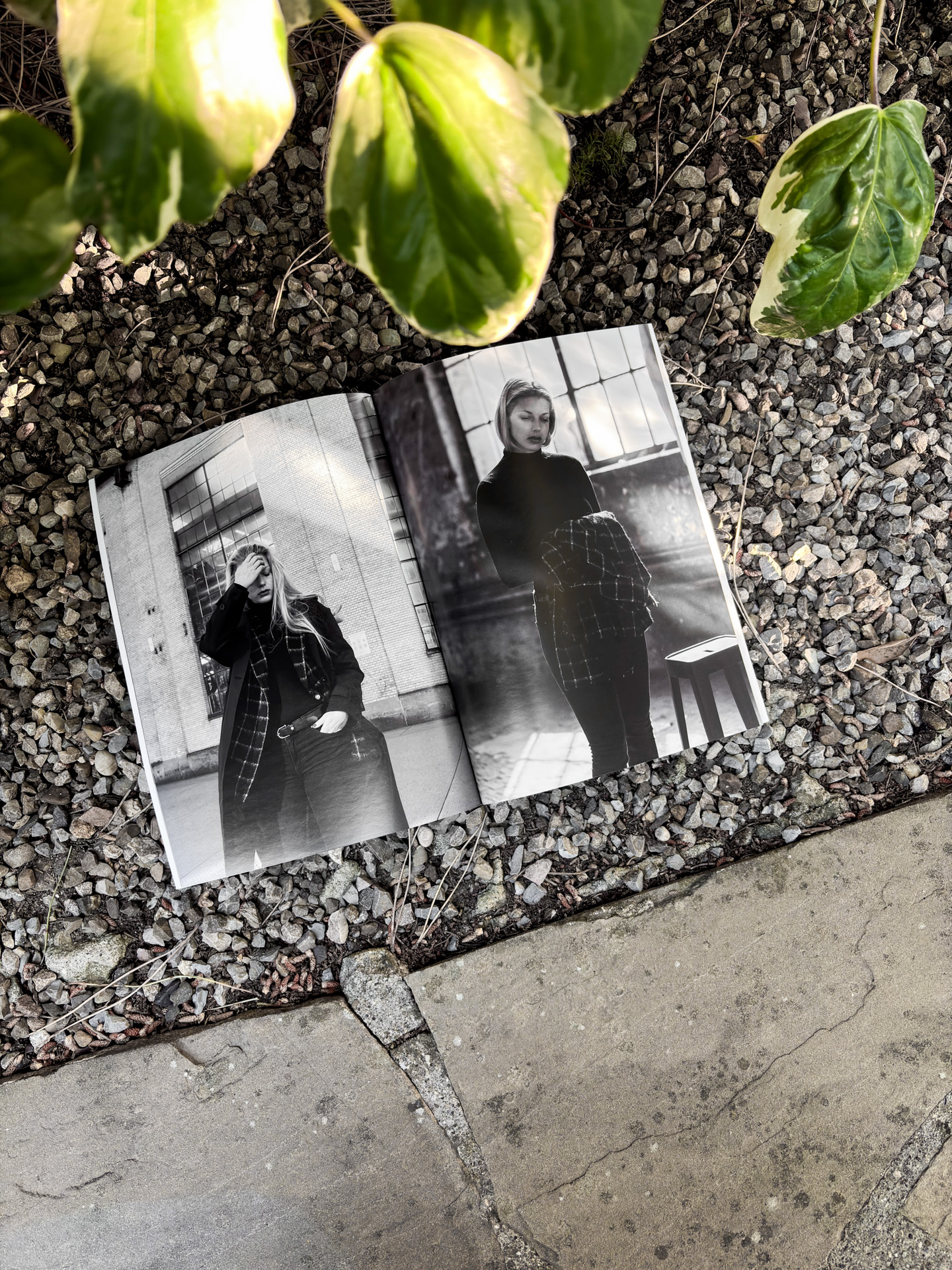Portrait Magazine - Annual subscription - Image 5