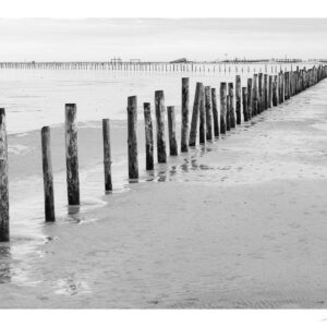 Wooden posts - Image 1