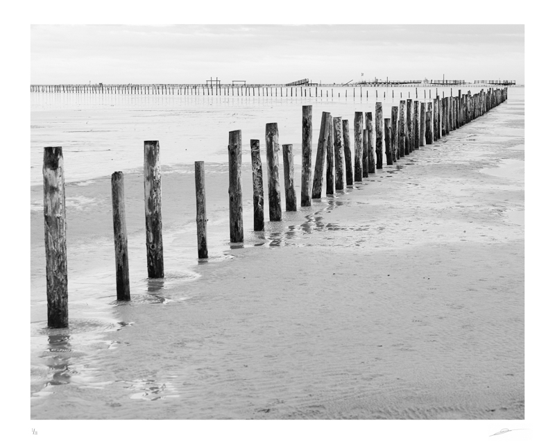 Wooden posts